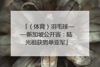 （体育）羽毛球——新加坡公开赛：陆光祖获男单亚军